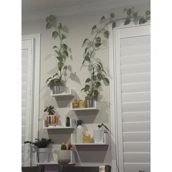 New Set of 5 Floating Wall Shelves for Bathroom, Bedroom, and Living Room Decor - Picture 10 of 11